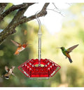 Hummingbird Feeder: Built-In Ant Moat, Hanging Perch