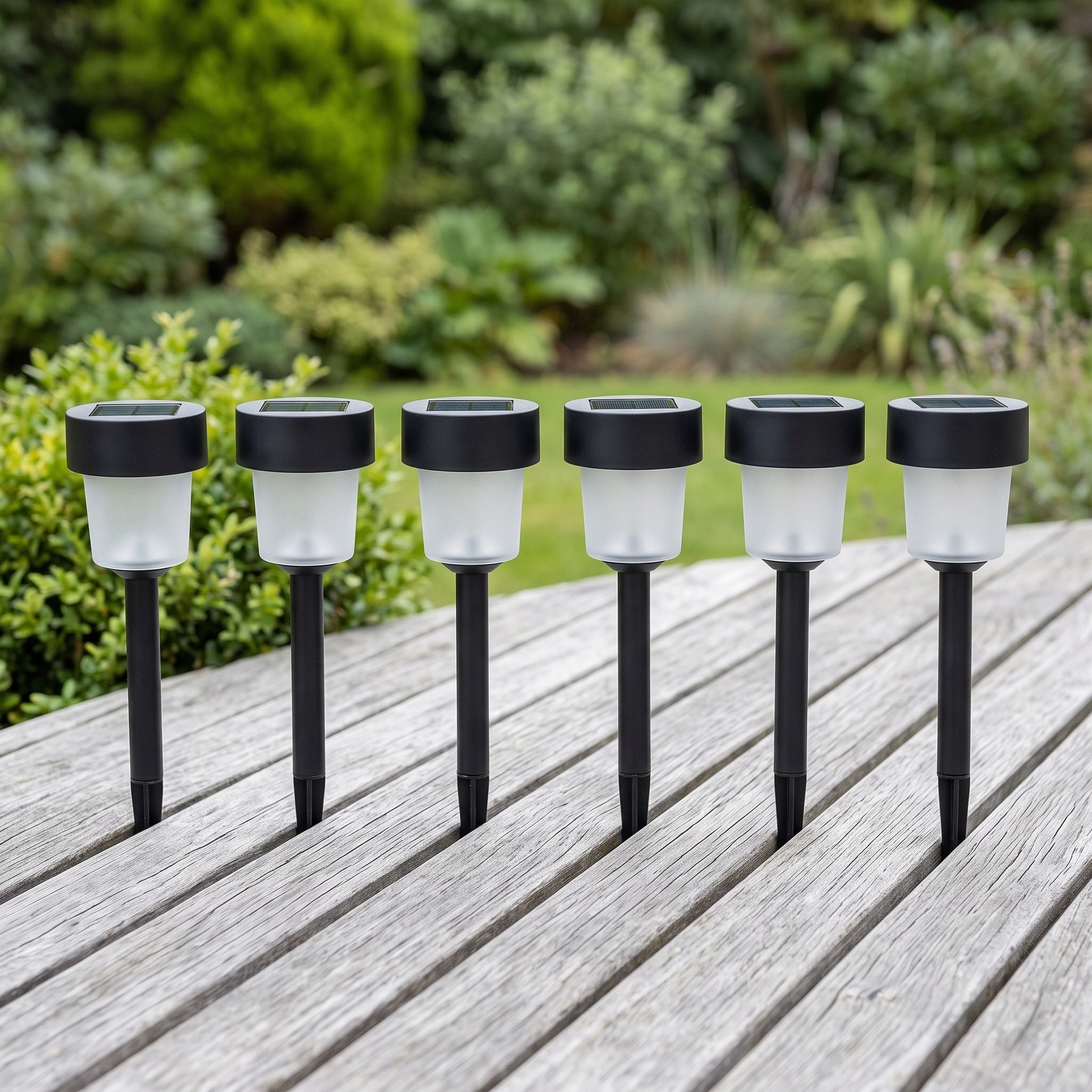 Solar Path Lights: Warm White, Six Pack