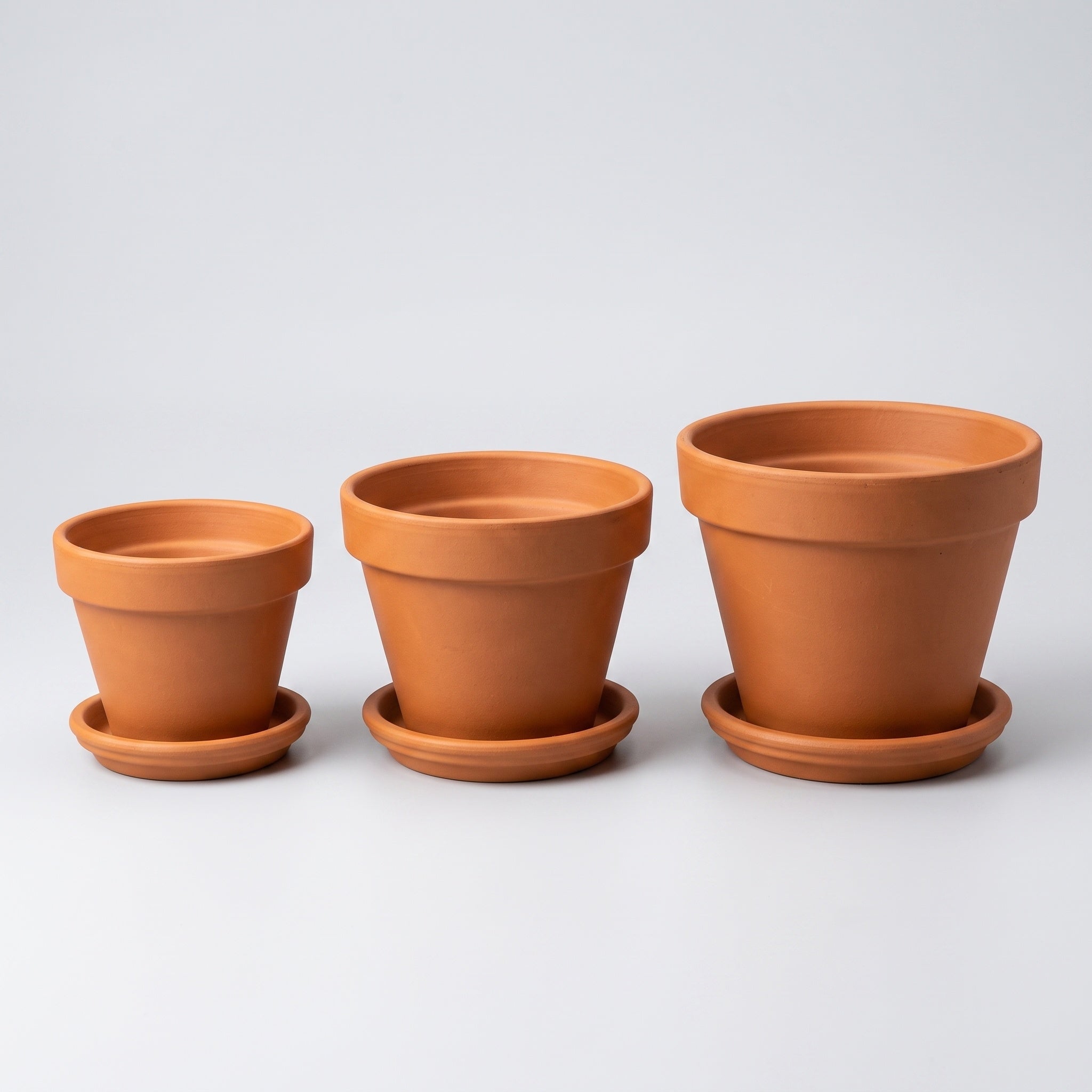 Terracotta Plant Pots: Set of Three with Trays